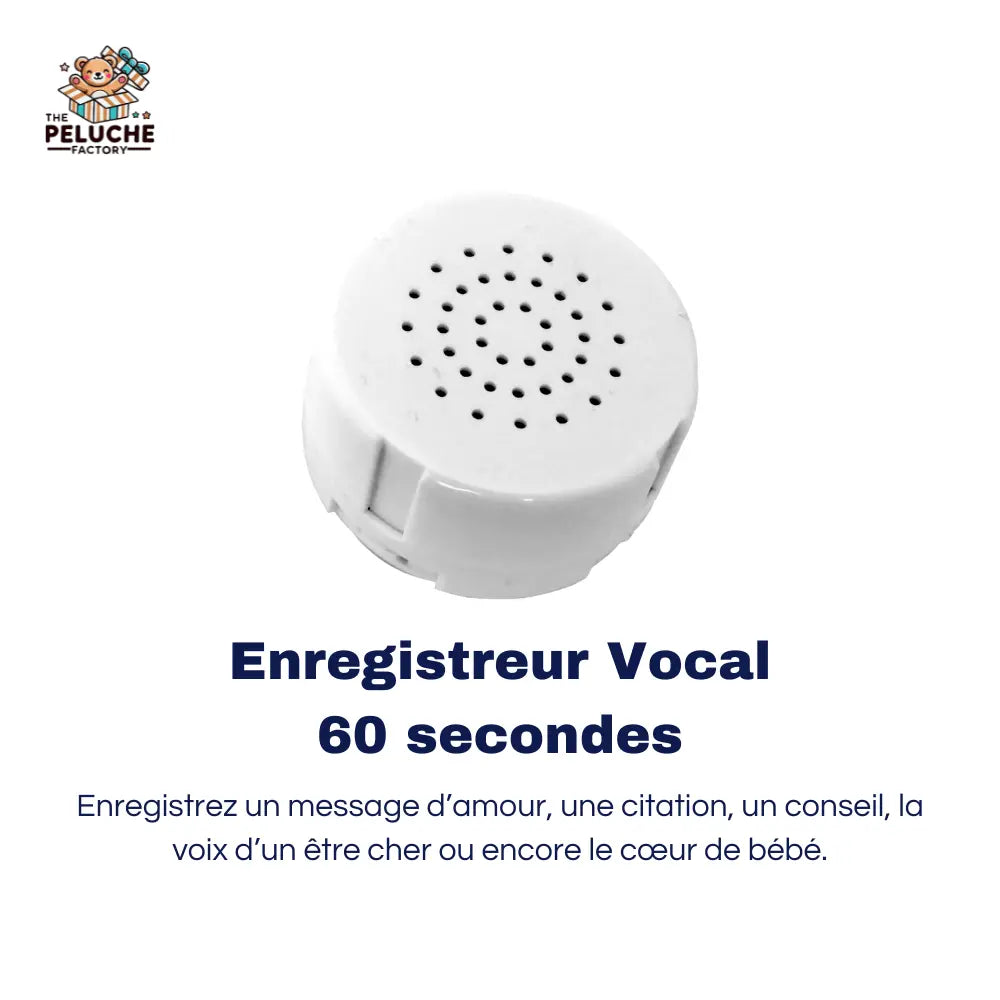 Donne une voix à ta peluche avec notre enregistreur vocal