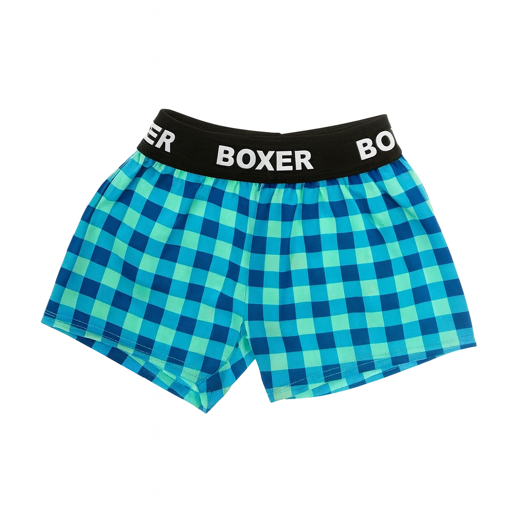 Boxer bleu à carreaux
