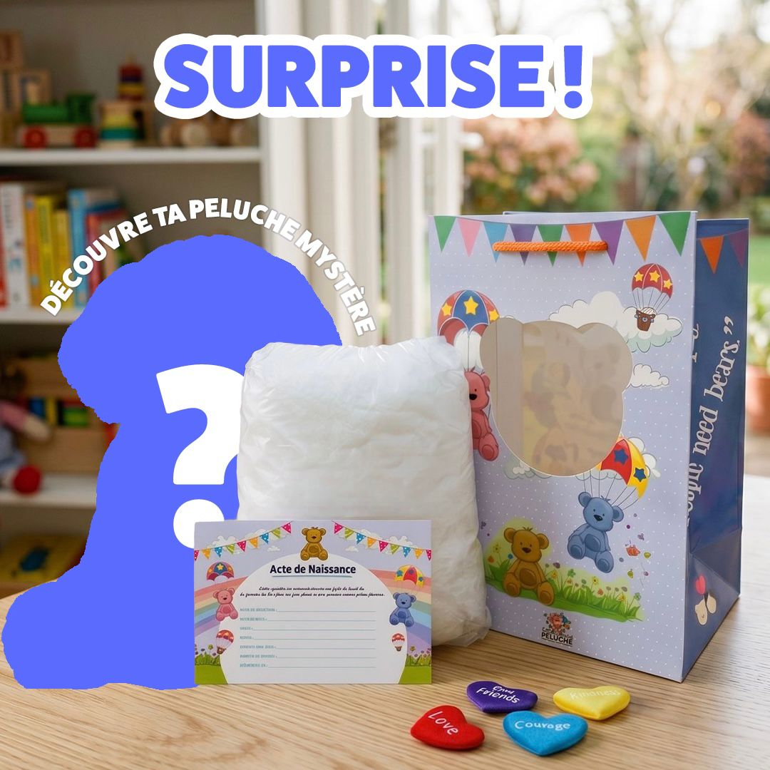 Coffret peluche mystère secrete surprise
