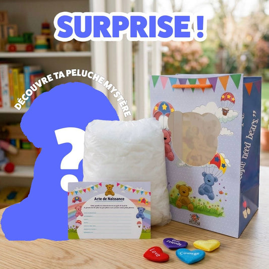 Coffret peluche mystère secrete surprise