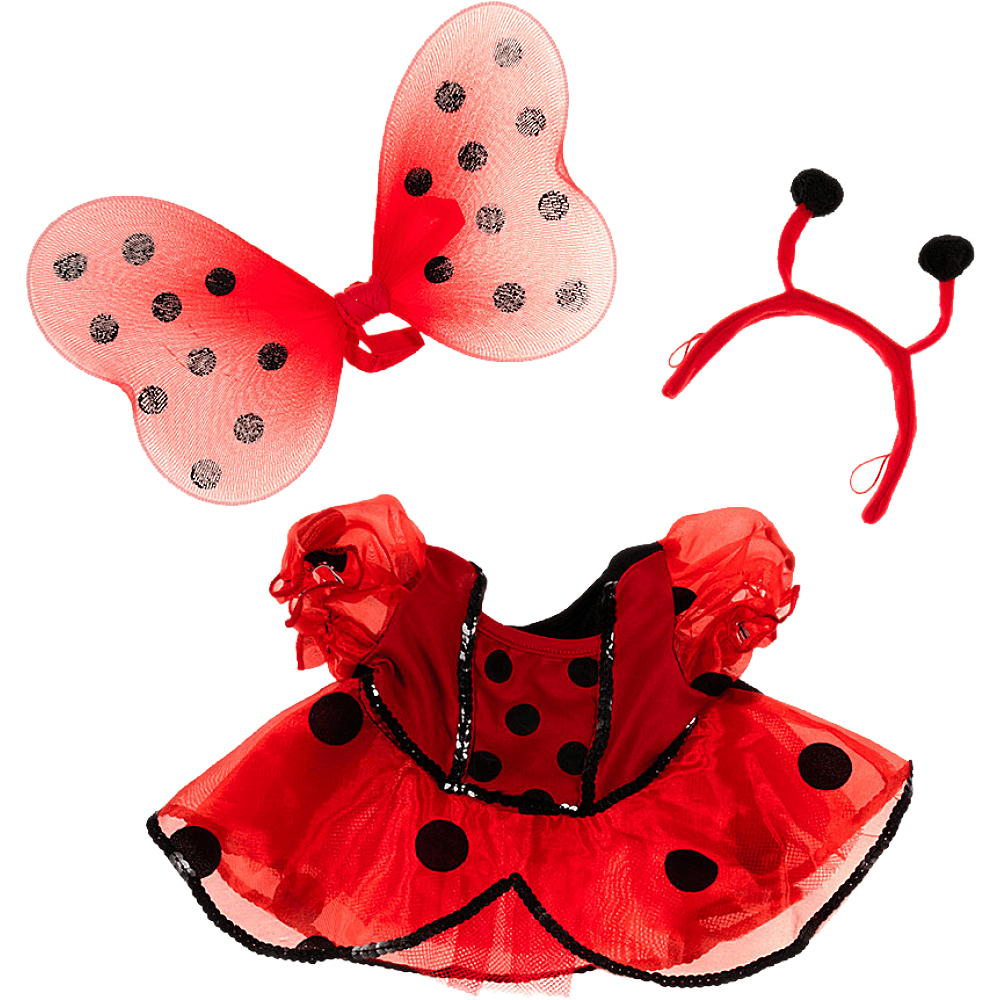 Tenue de Fée Coccinelle