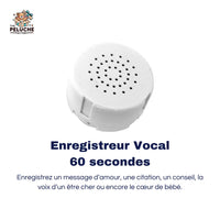 Donne une voix à ta peluche avec notre enregistreur vocal