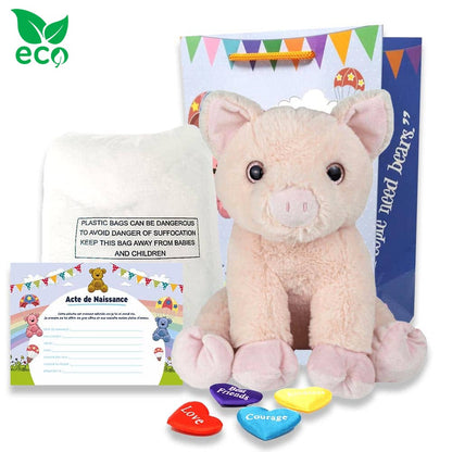 Coffret Peluche Cochon ECO