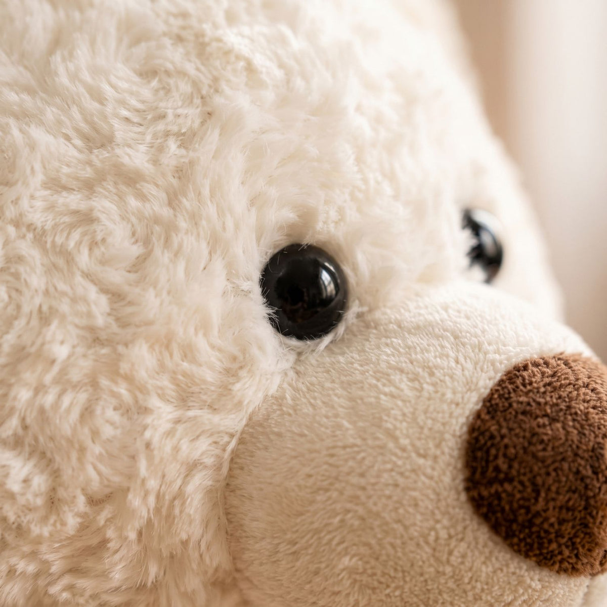 Détail du museau et des yeux de l'ours en peluche crème